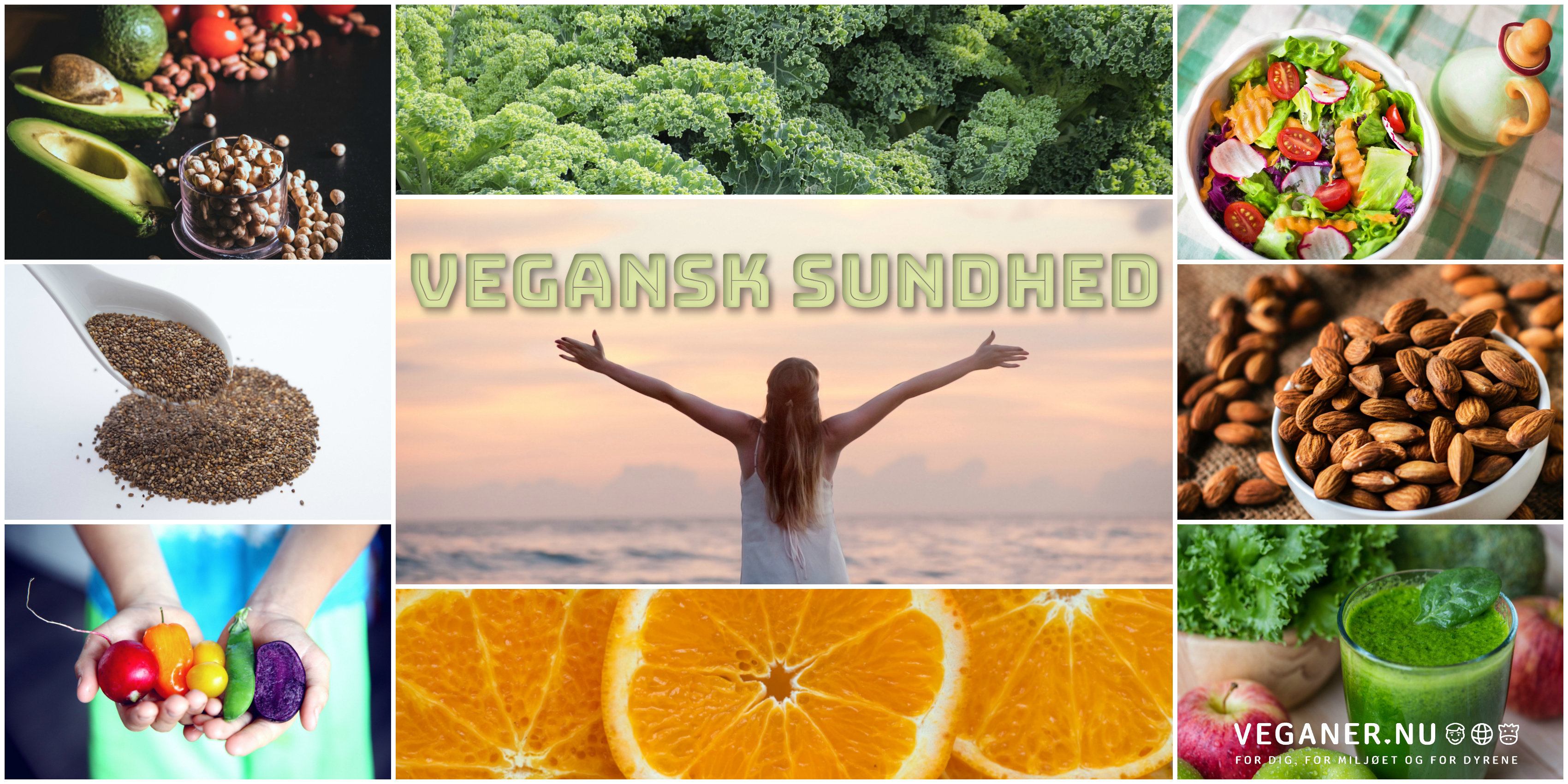 Veganer.nu-vegansk sundhed